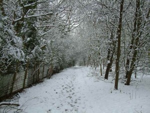 1024 x 768 the path to transformation