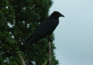 1027 x 718 is it ever too late