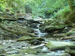 onward wiccan warriors 1024 x 768