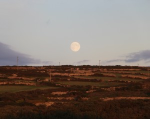 shadow and sword of truth resume 965 x 768