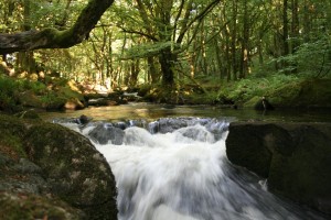 the light and the shadow resume 1024 x 683