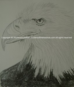 eagle 882 x 1034 with c